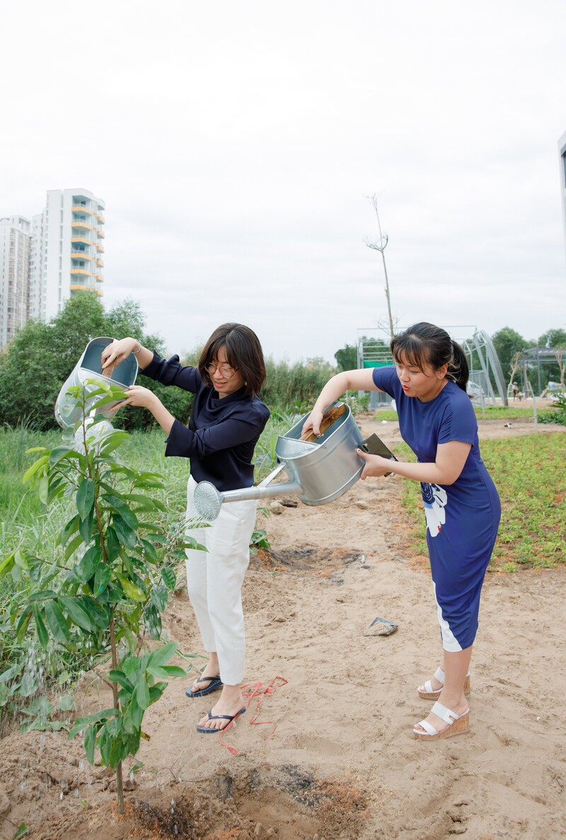 cá cược thể thao hul city